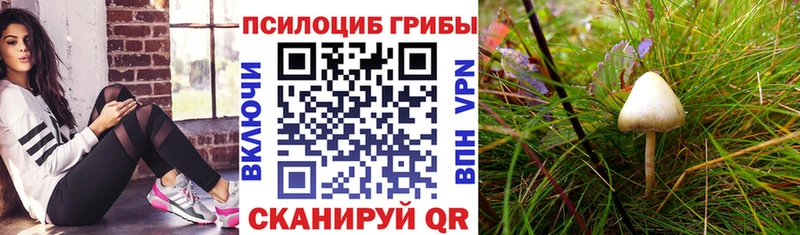 Псилоцибиновые грибы MAGIC MUSHROOMS  где купить наркоту  blacksprut рабочий сайт  Юрюзань 